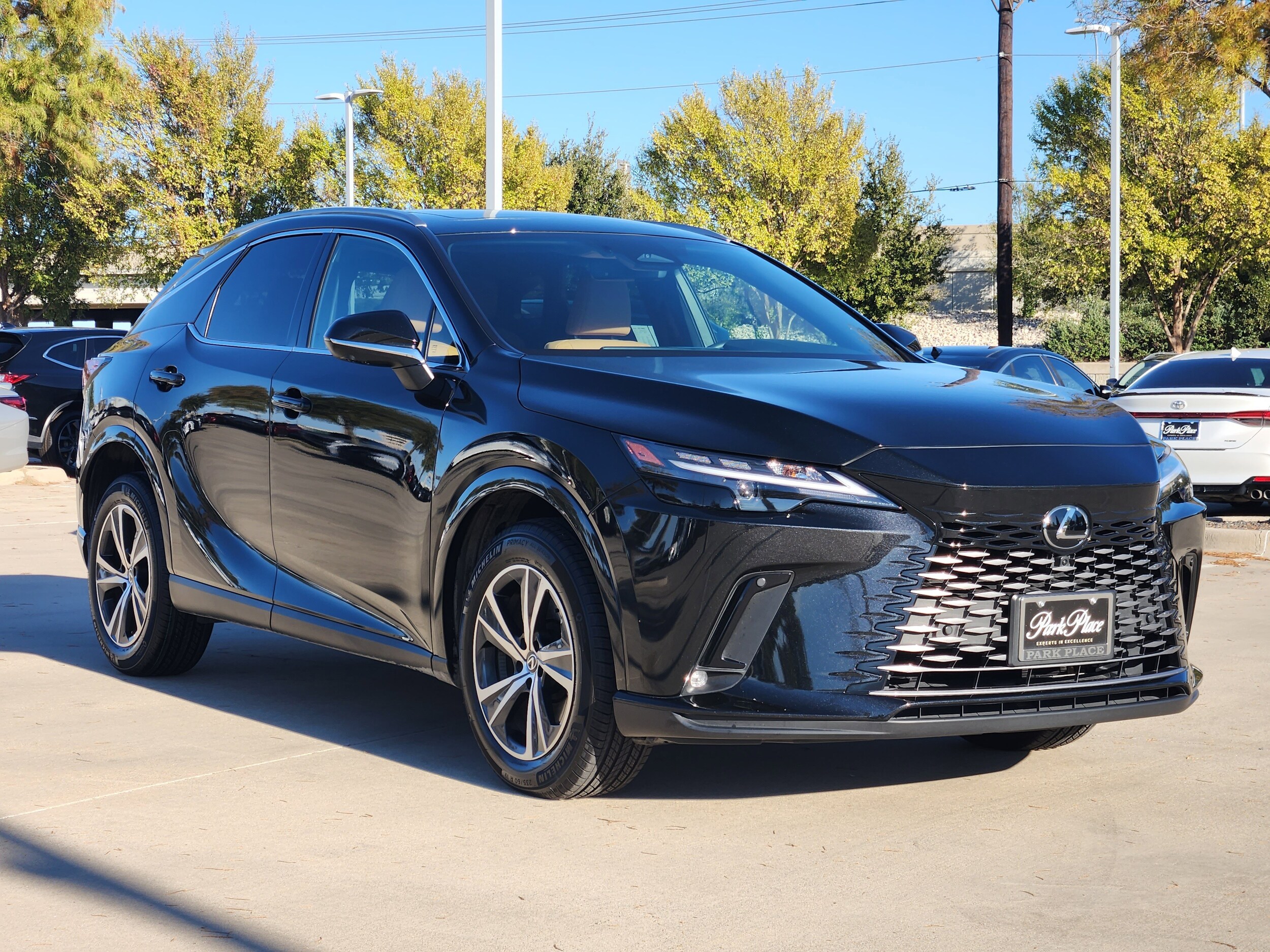 2025 Lexus RX 350 Premium photo 2