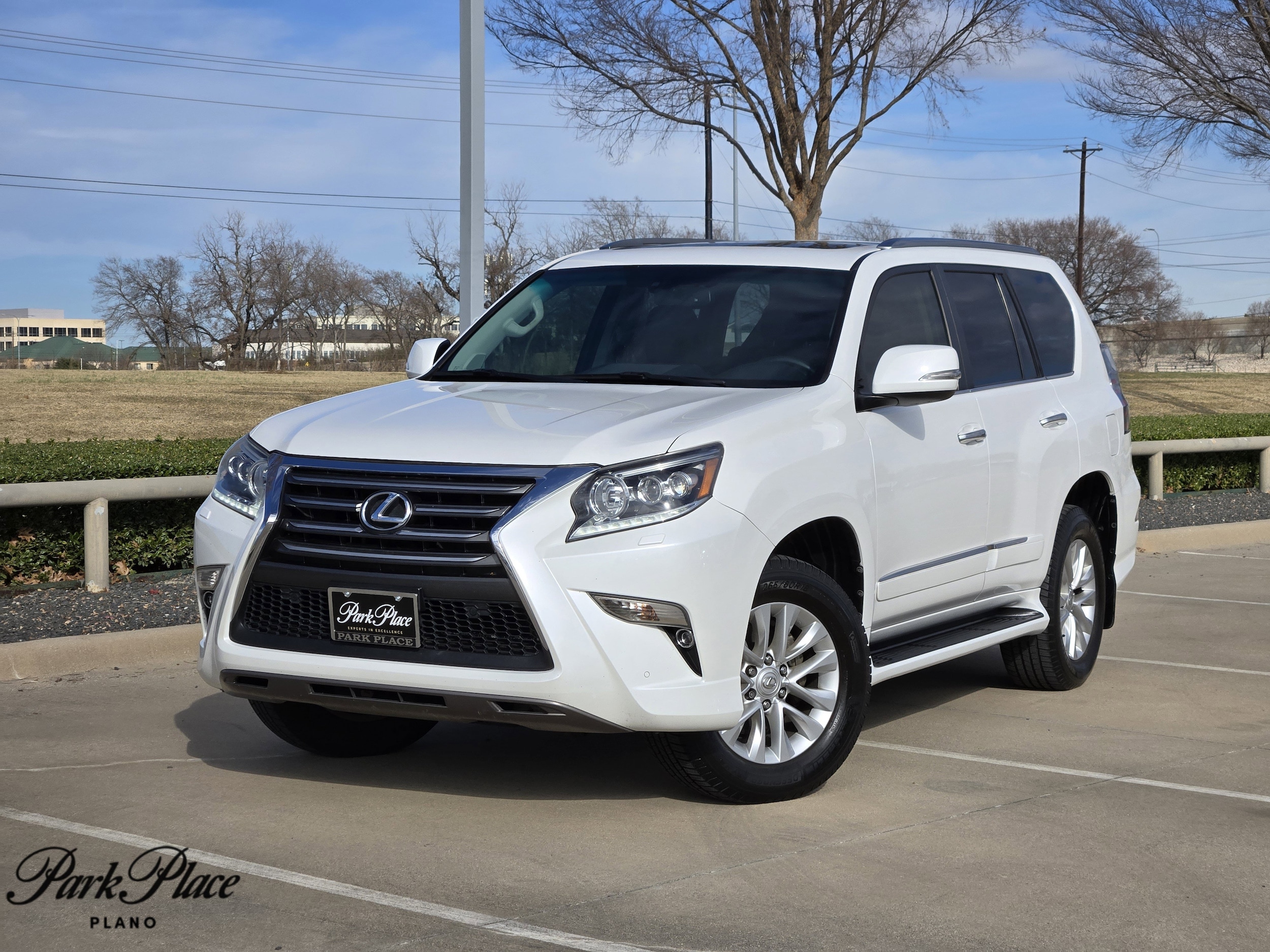 2014 Lexus GX Base's photo