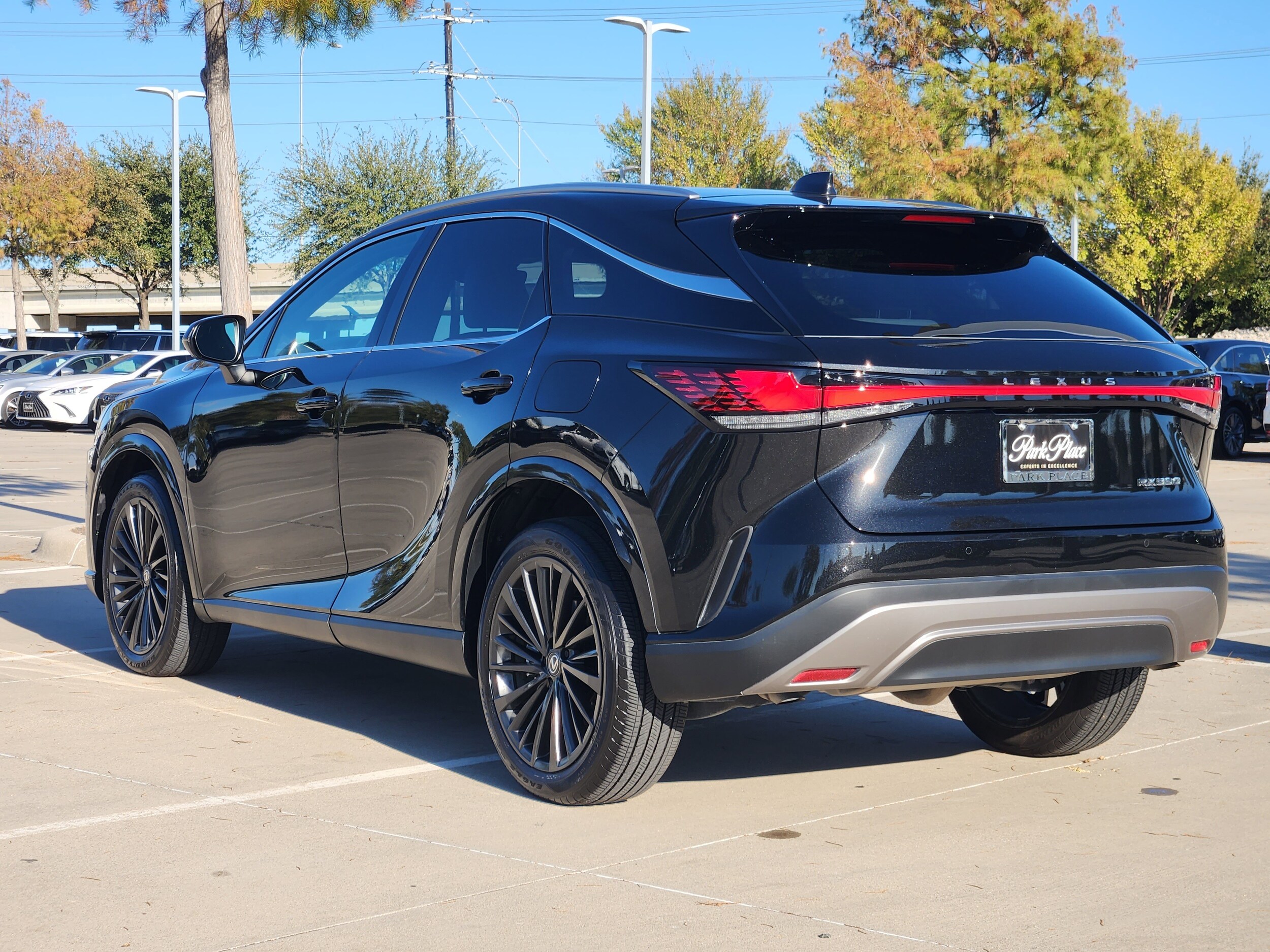 2025 Lexus RX 350 Premium photo 2