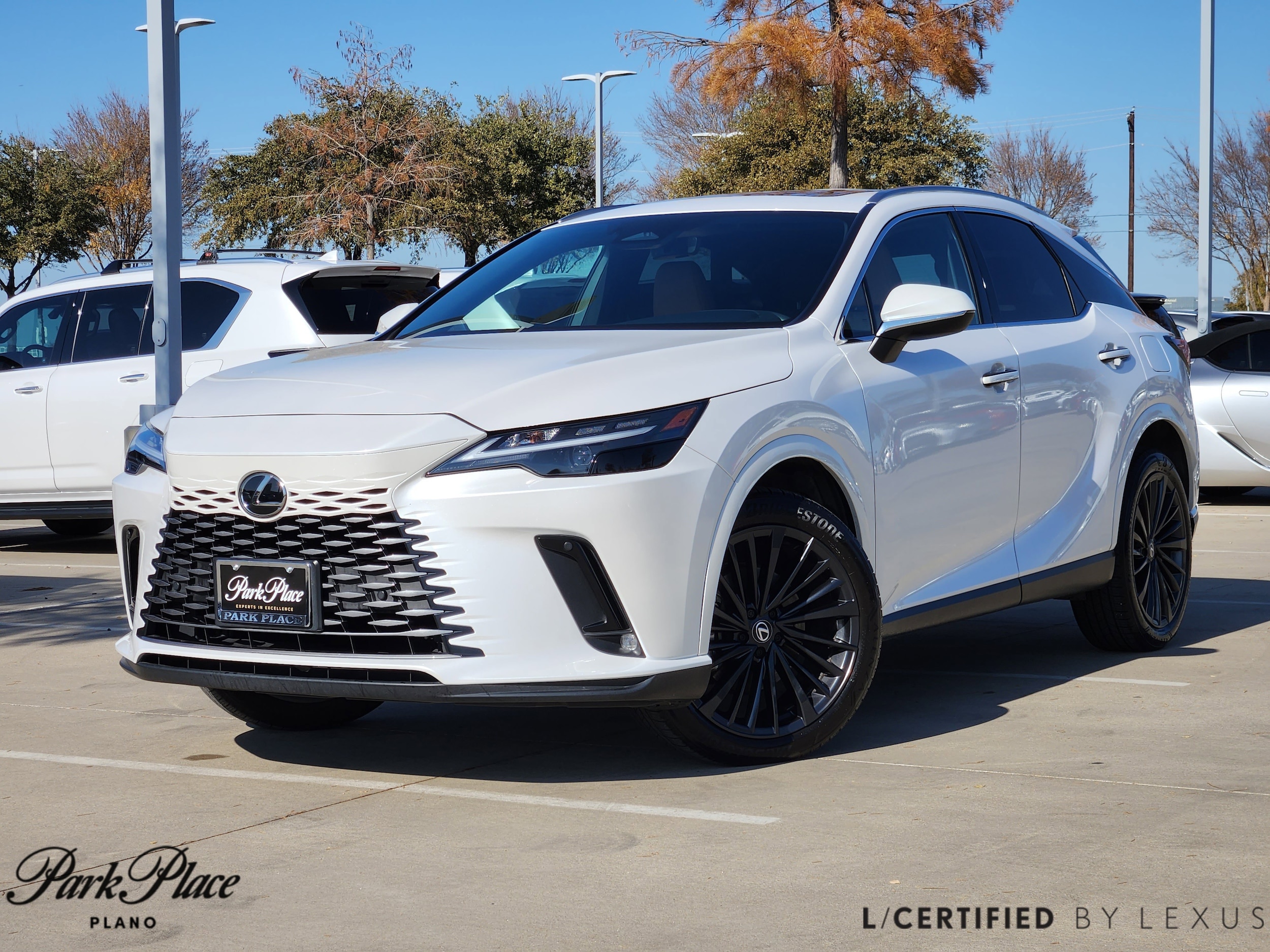2025 Lexus RX 350's photo