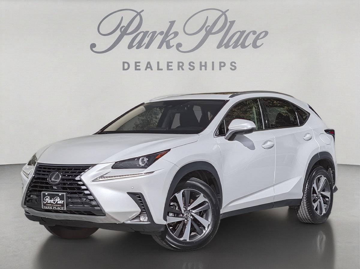 2020 LEXUS NX 300 Premium Package SUV