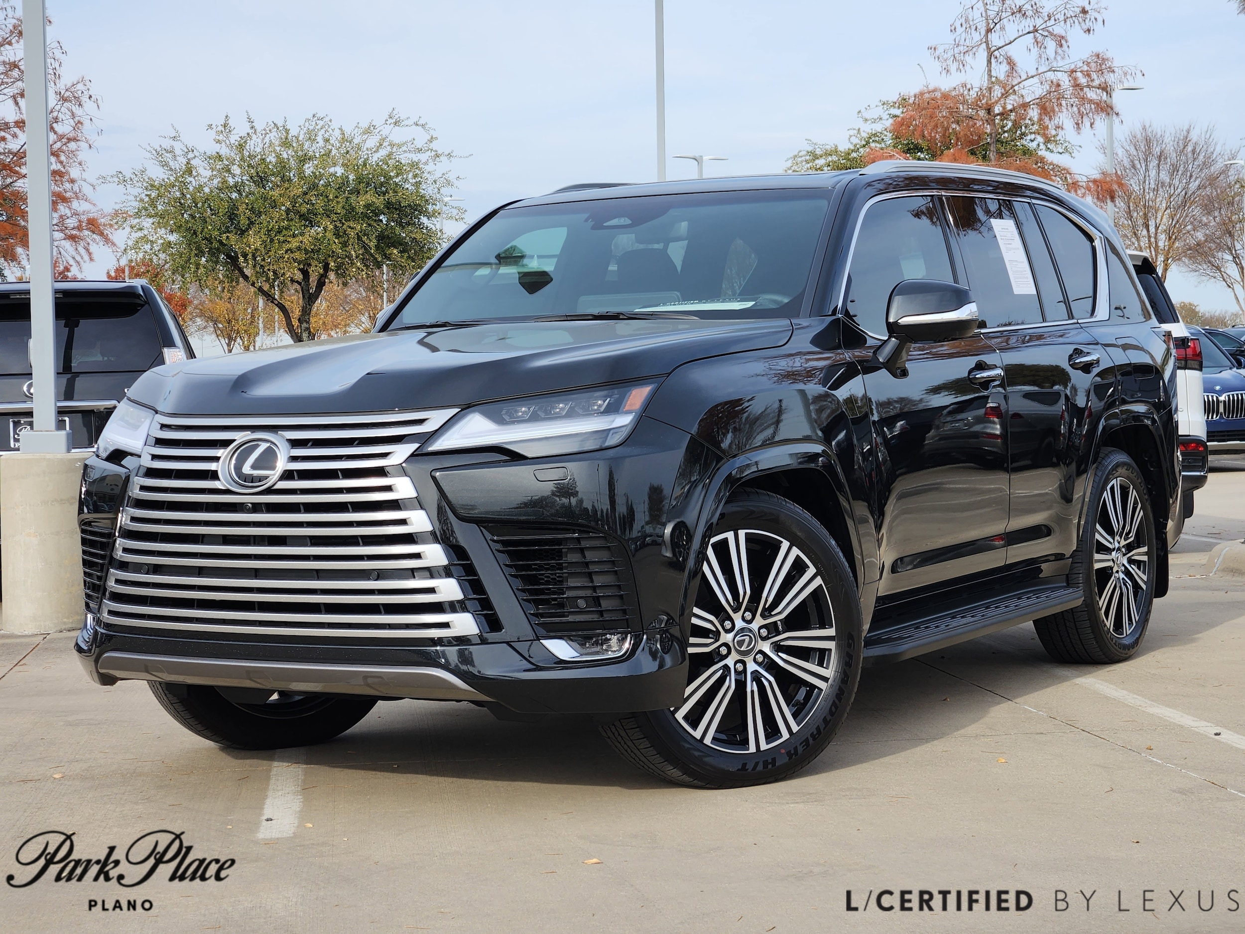 2025 Lexus LX Luxury's photo