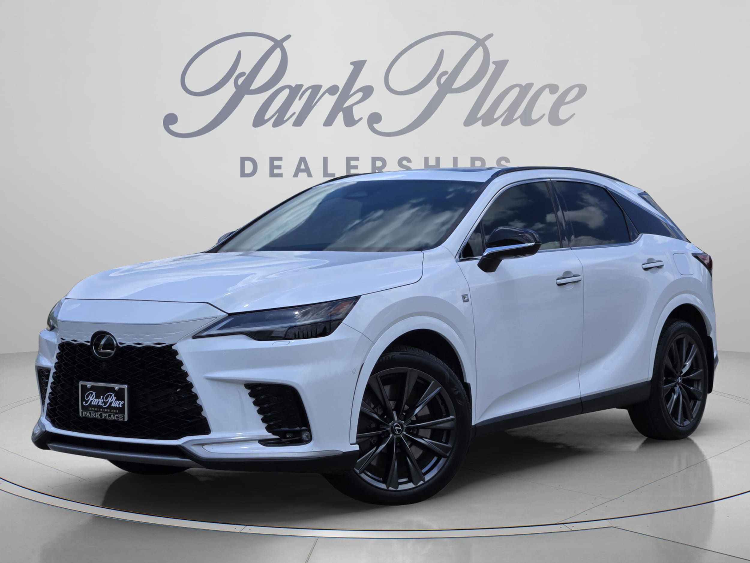 2024 Lexus RX 350 350 F SPORT AWD's photo