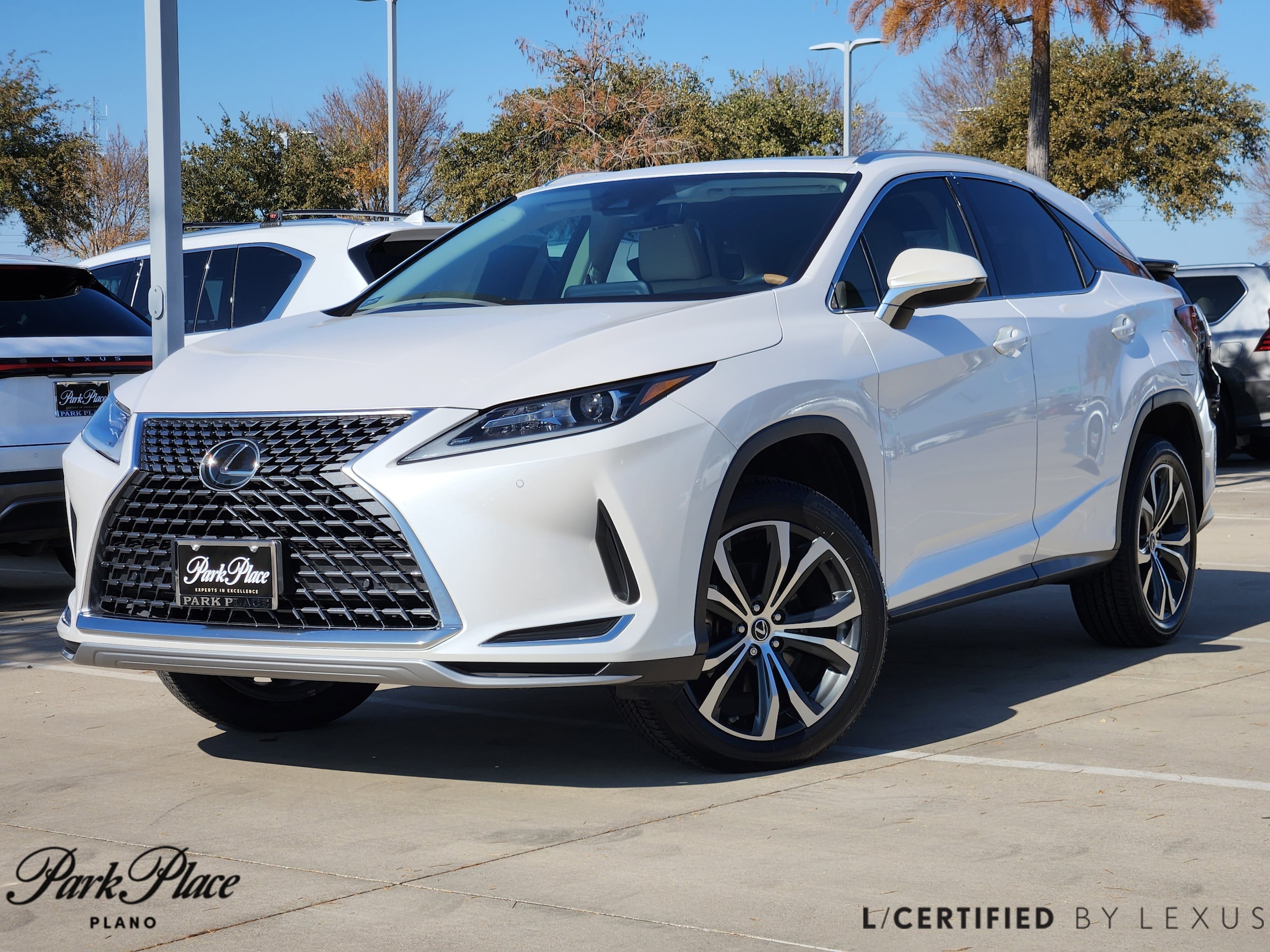 2021 Lexus RX 350's photo