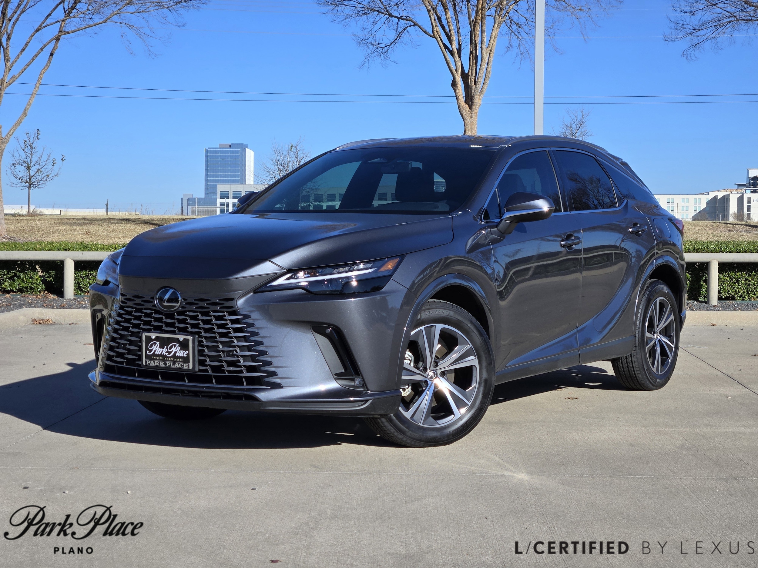 2024 Lexus RX 350's photo