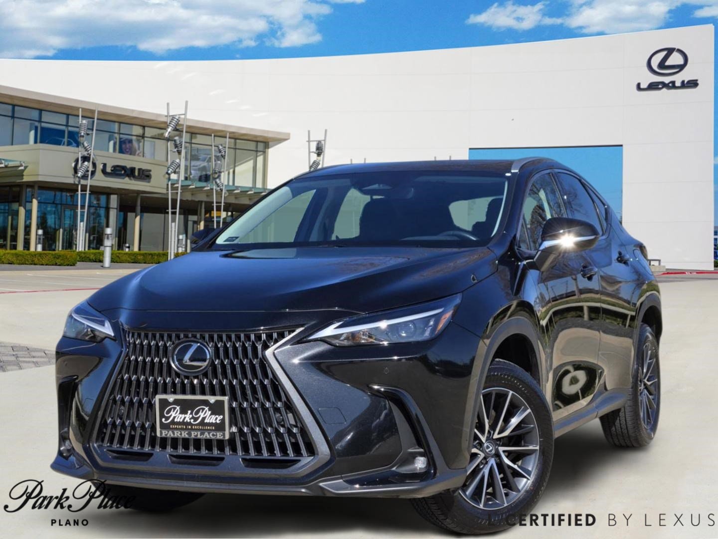 2025 Lexus NX 250