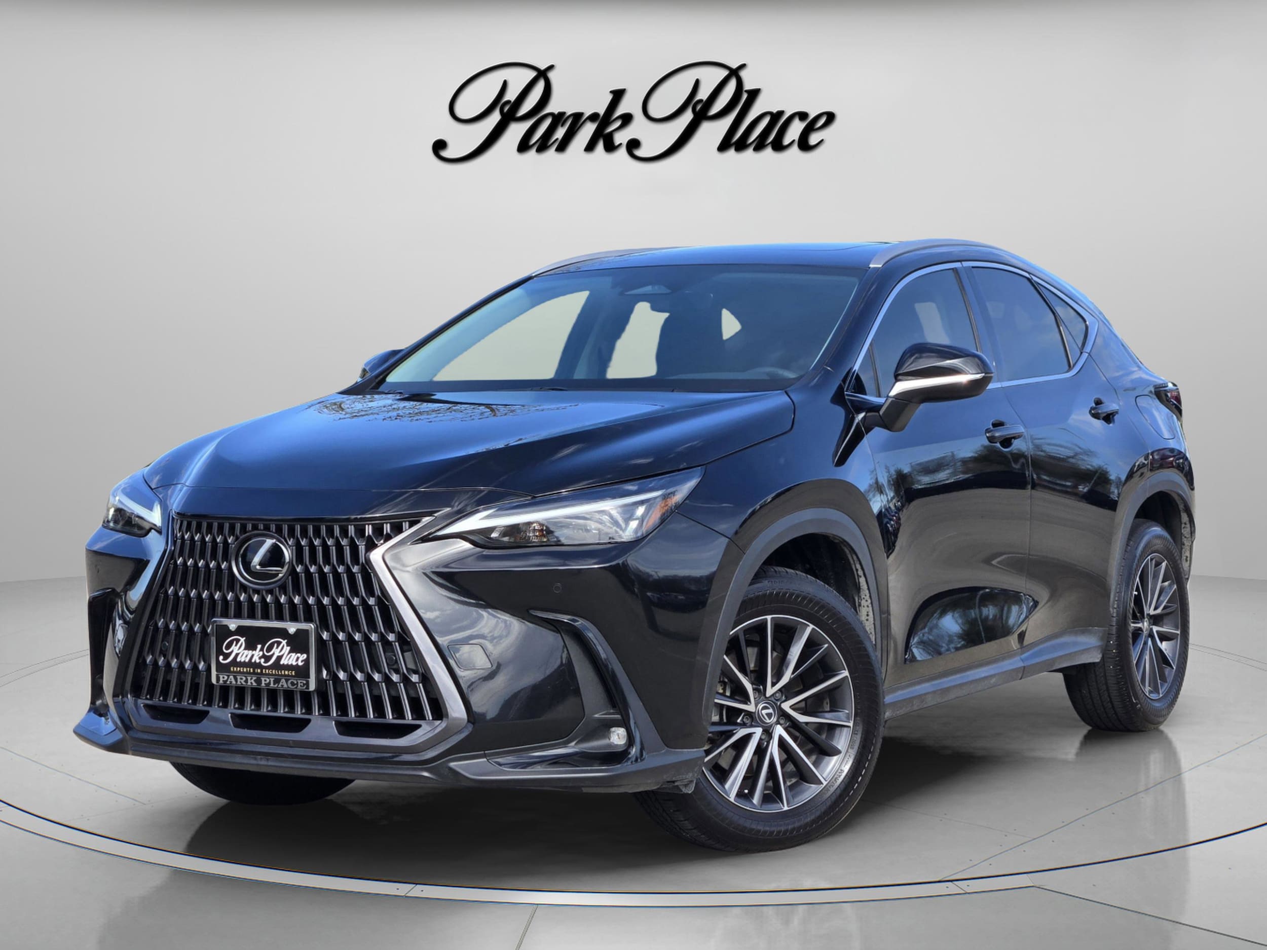 2025 Lexus NX 250