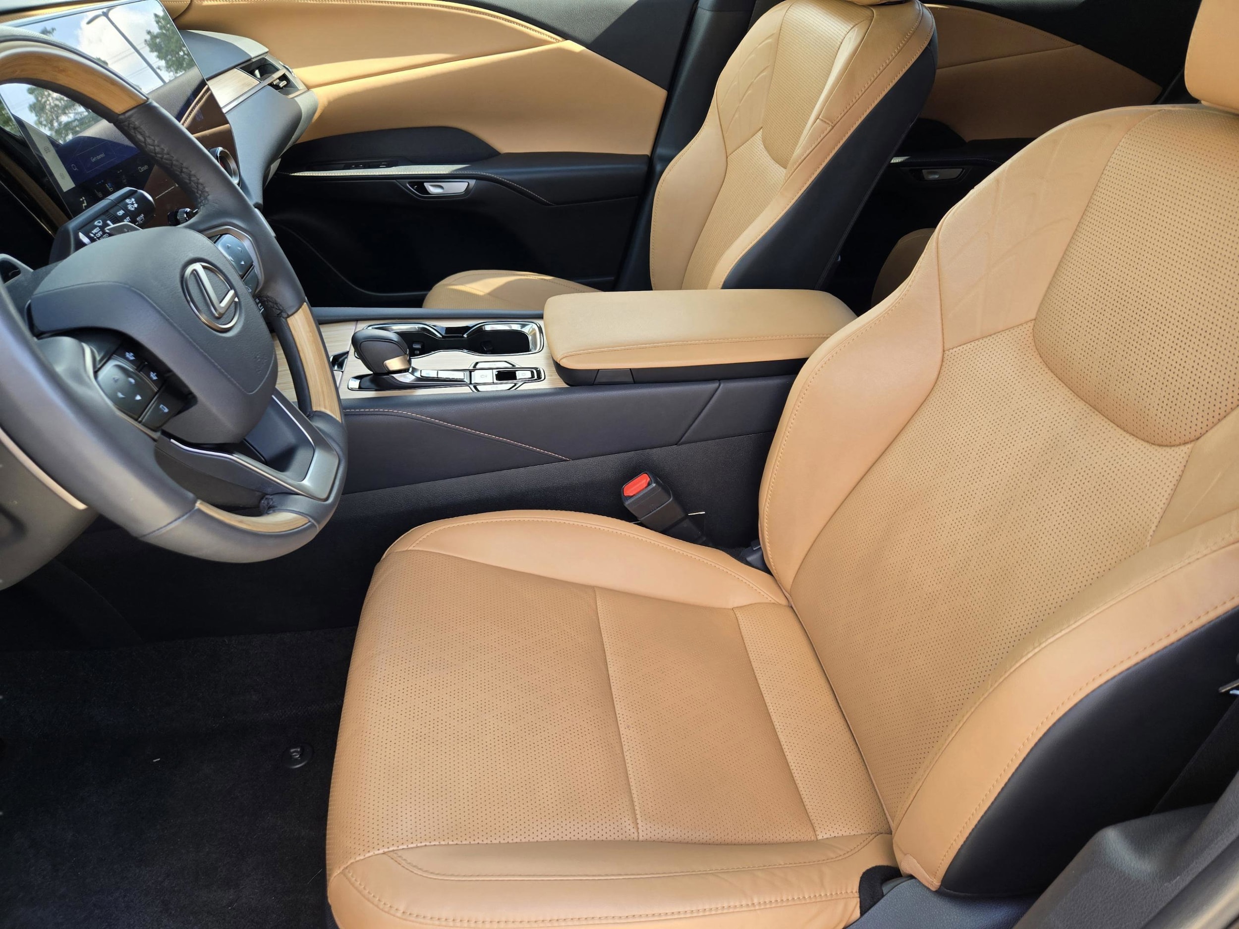 2025 Lexus RX 350 - Photo 10