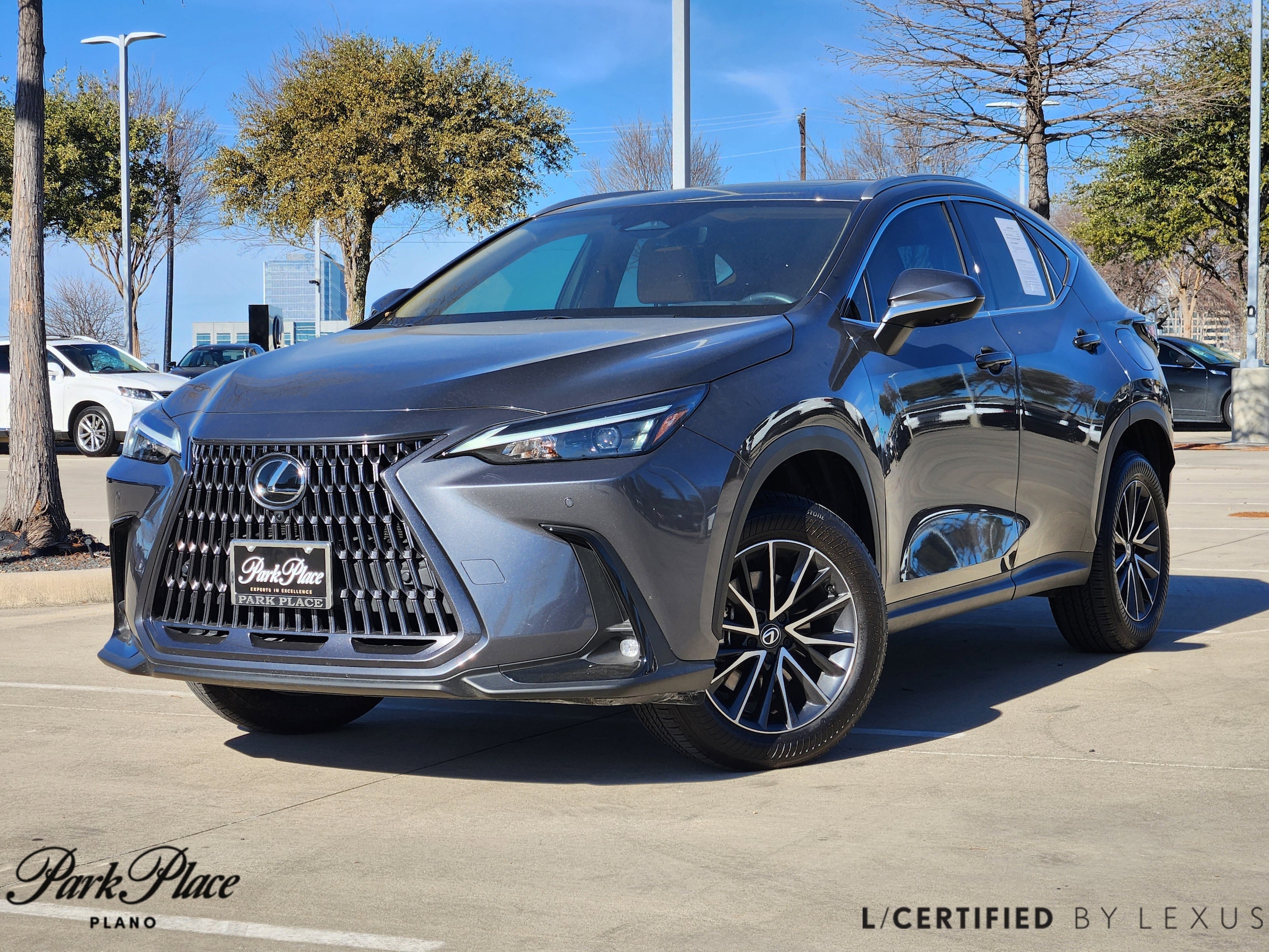 2025 Lexus NX Hybrid 350h's photo