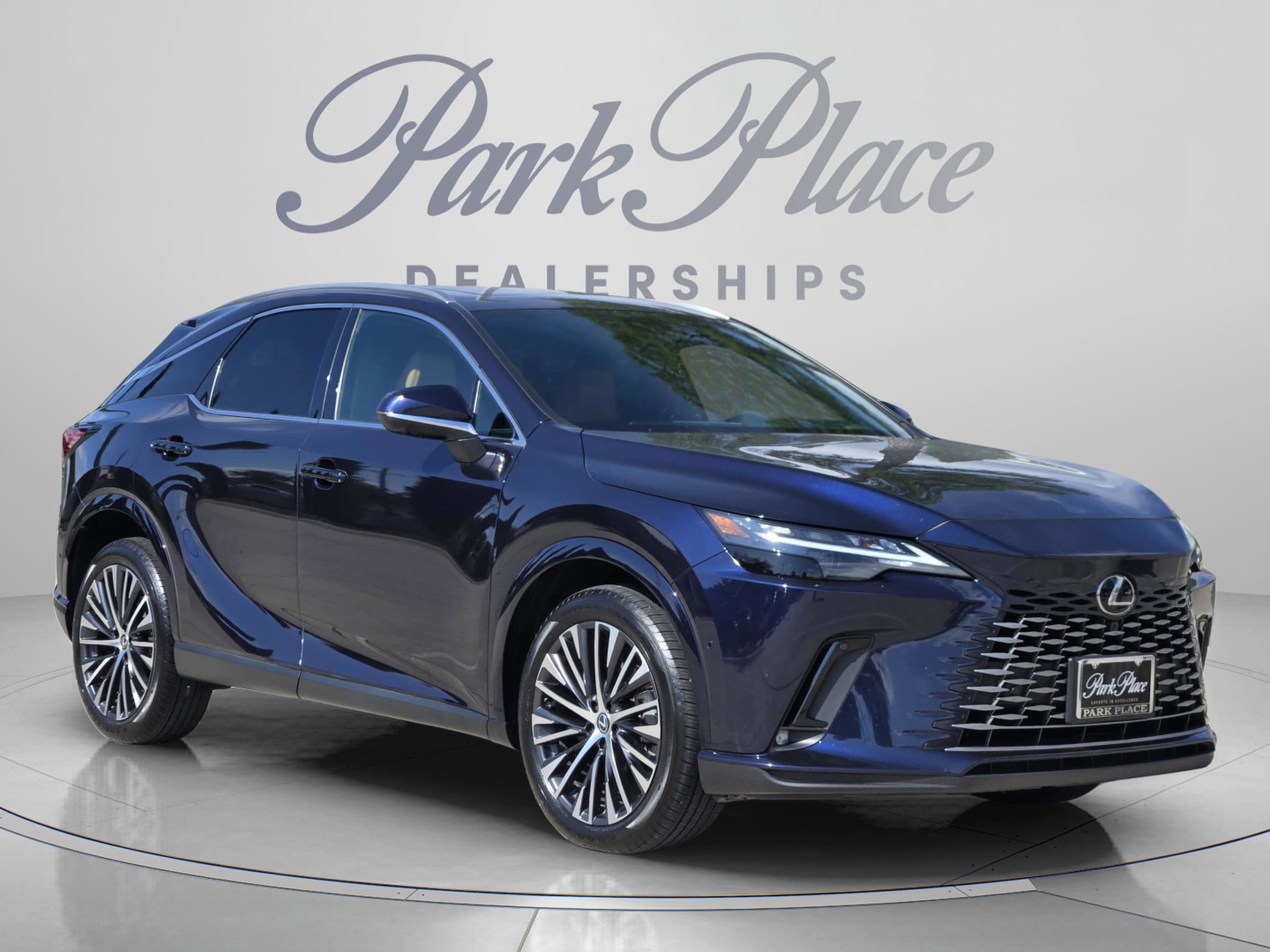2025 Lexus RX 350 - Photo 8
