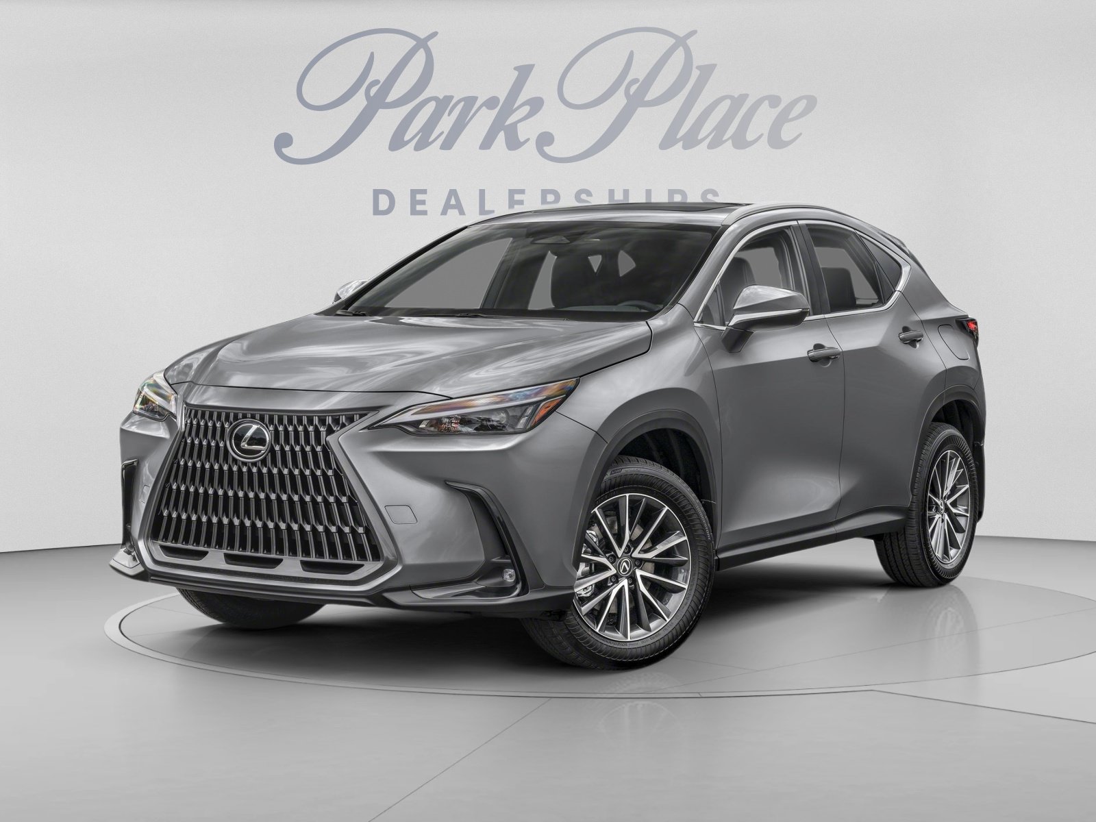 2024 Lexus NX