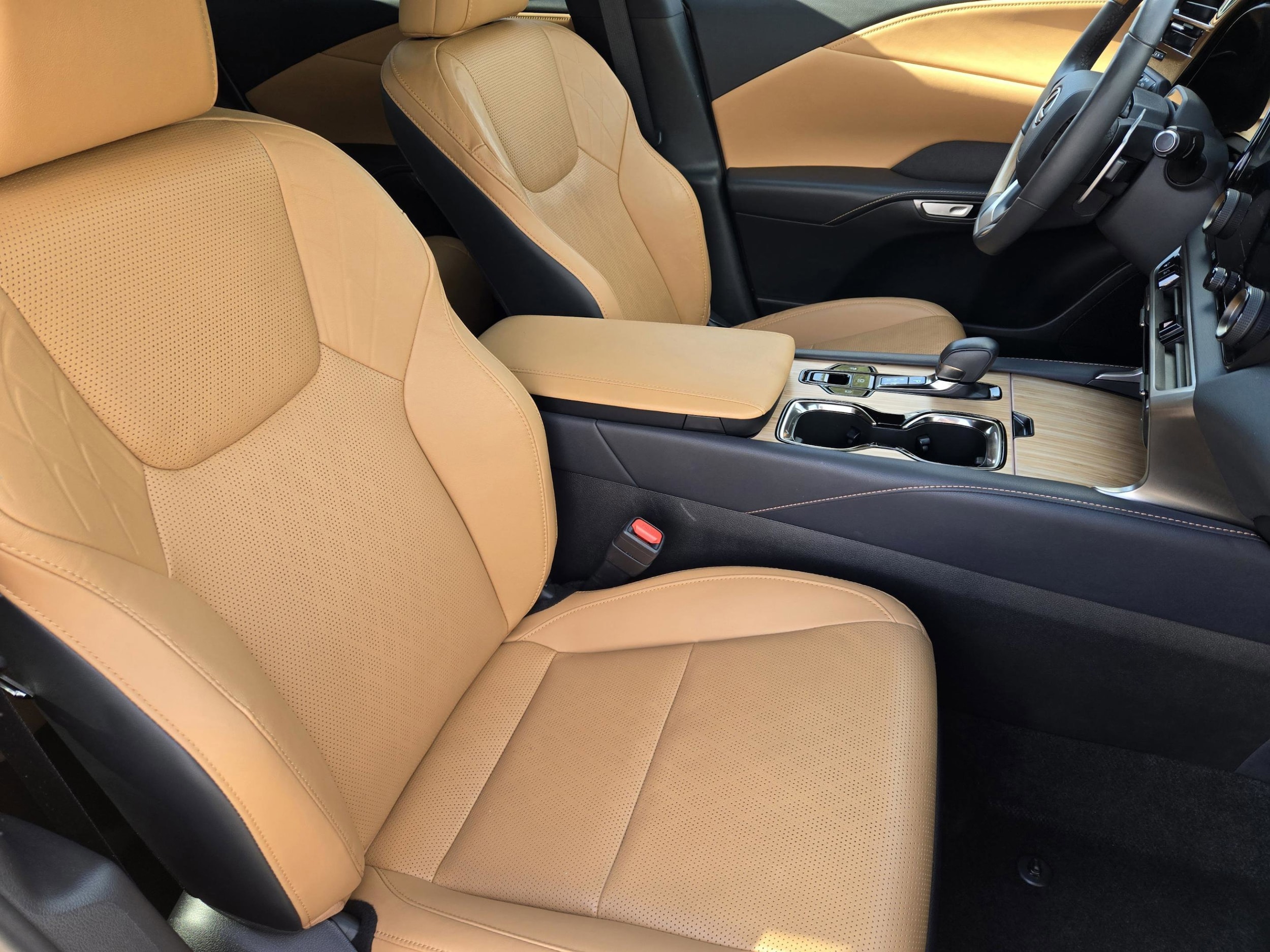 2025 Lexus RX 350 - Photo 11