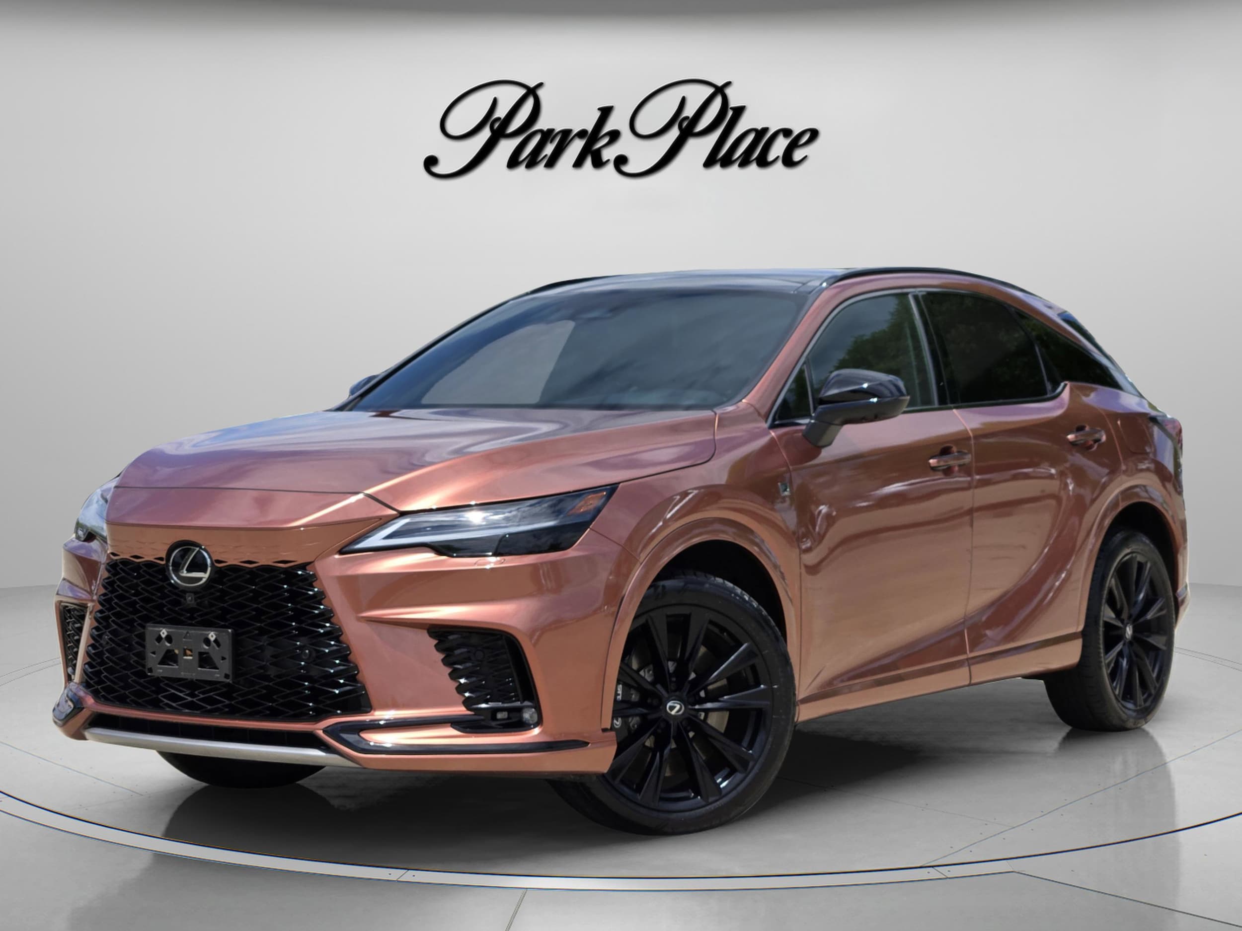 2023 Lexus RX 350h 500h F SPORT AWD's photo