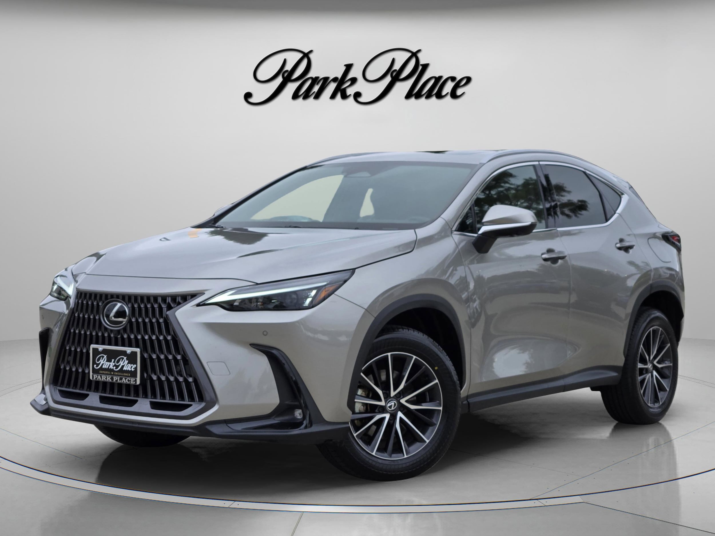2024 Lexus NX 350h 350h Luxury AWD's photo