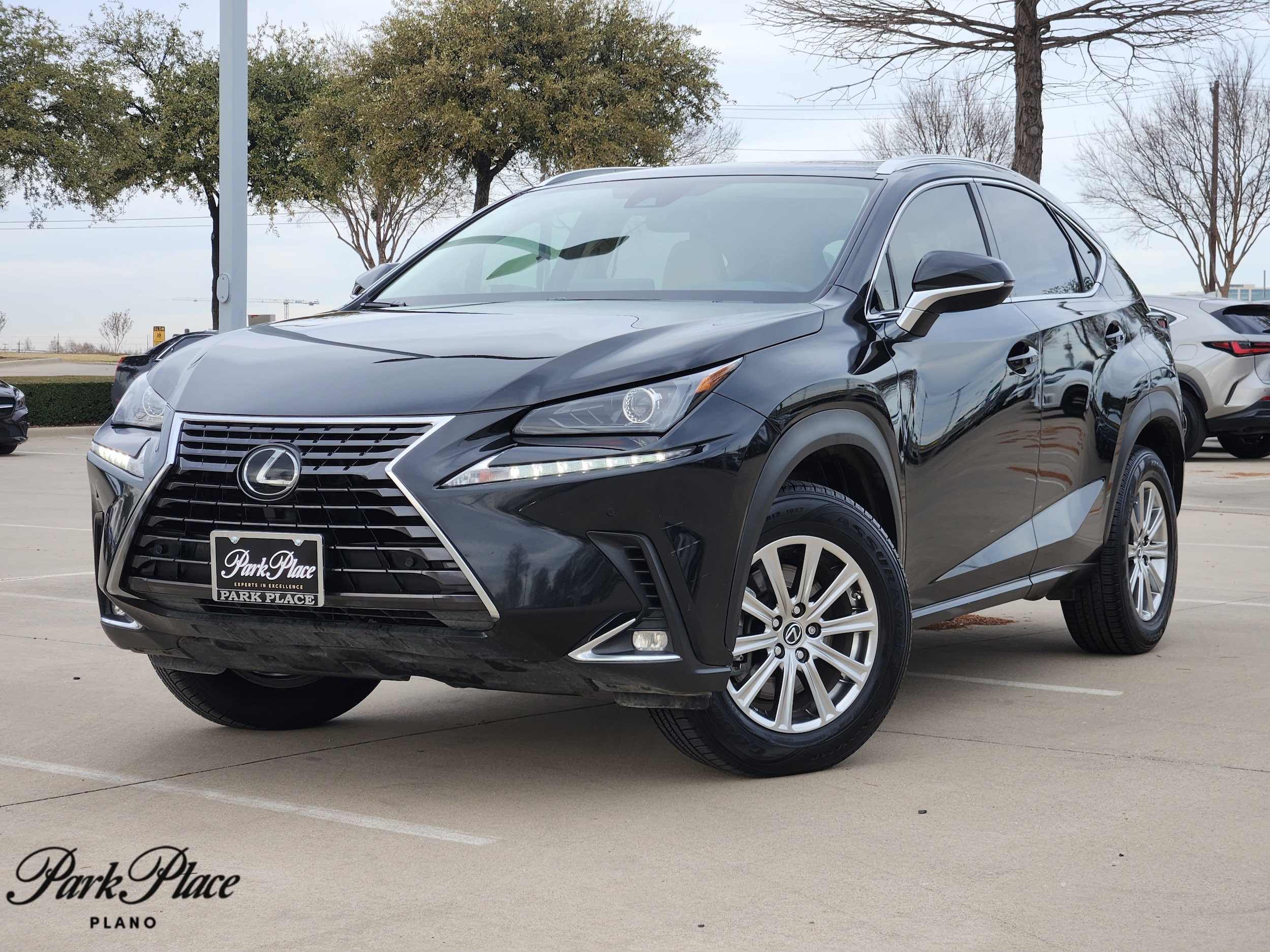 2021 Lexus NX 300's photo