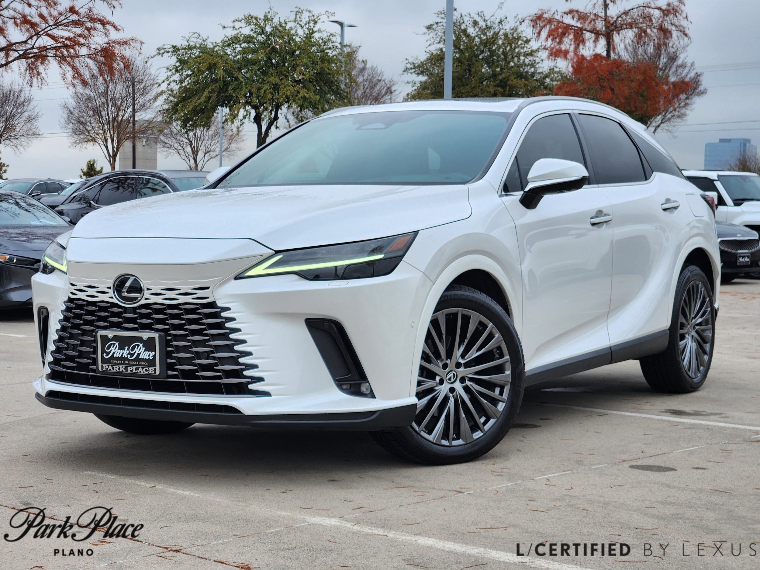 2023 Lexus RX 350's photo