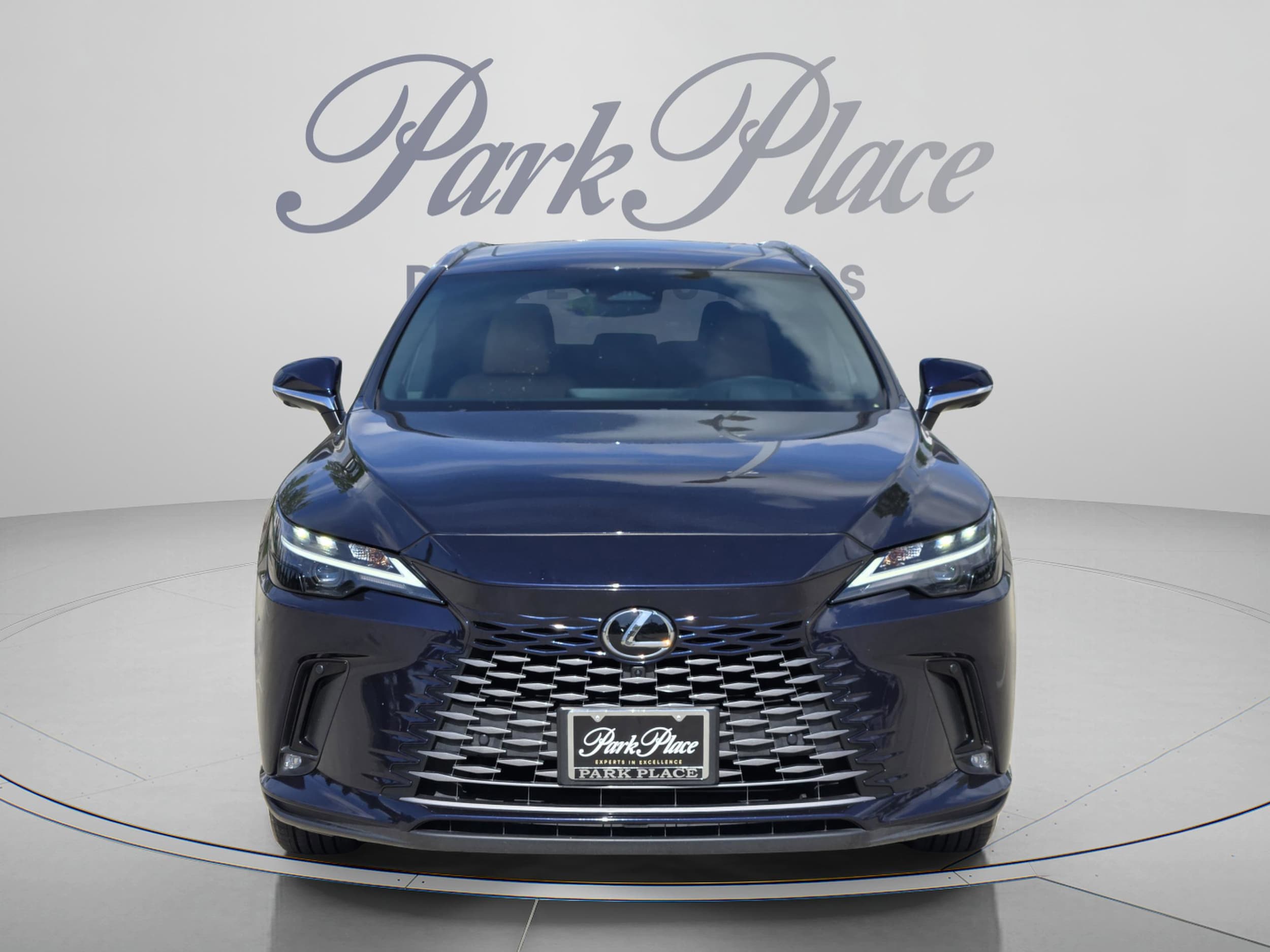 2025 Lexus RX 350 - Photo 9