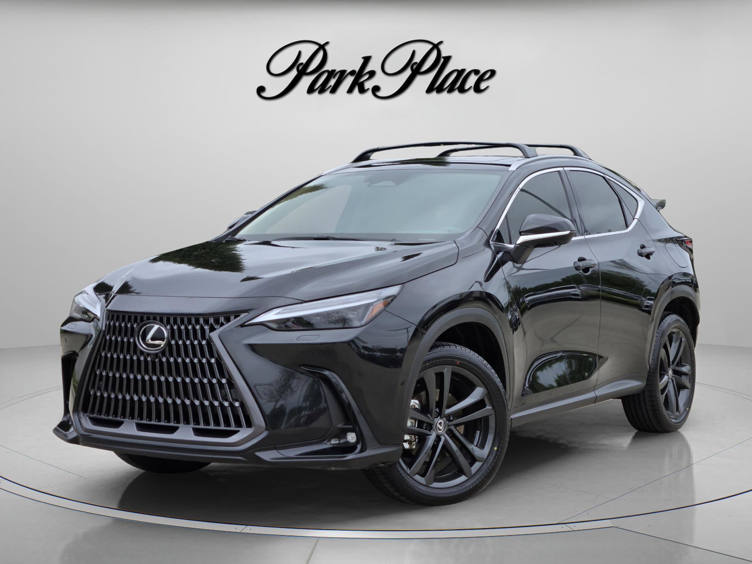 2025 Lexus NX PHEV