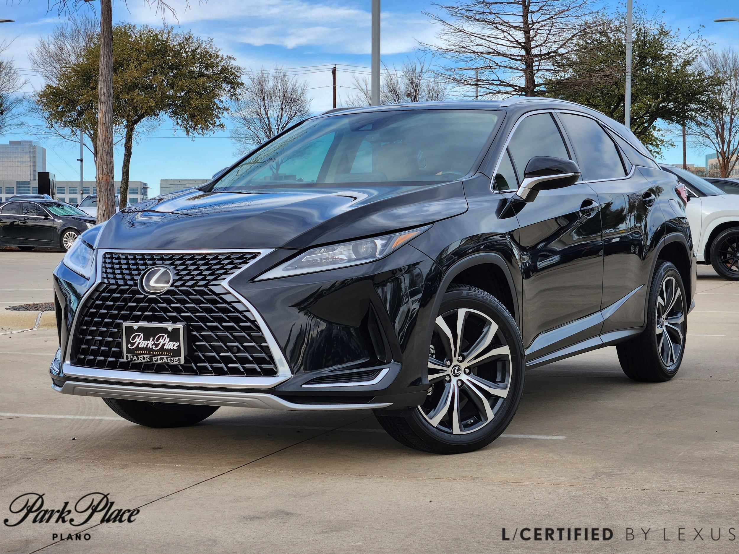 2021 Lexus RX 350's photo