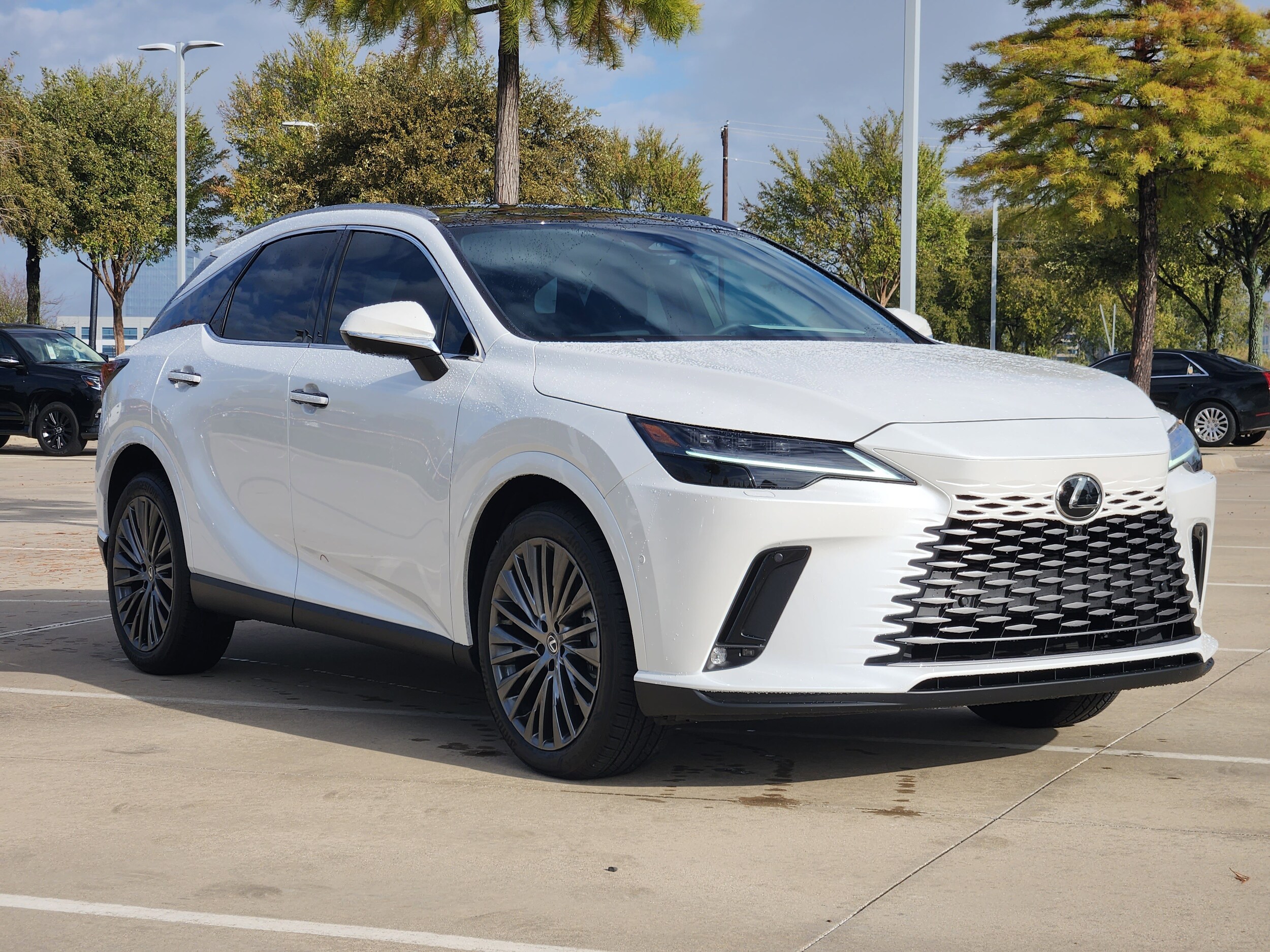 2025 Lexus RX 350 Luxury photo 2