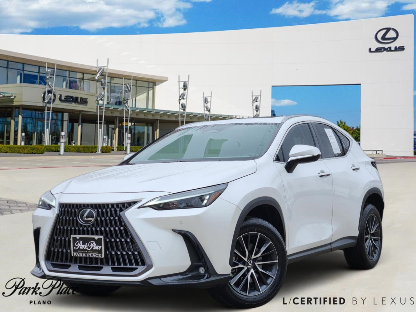 2024 Lexus NX 250's photo