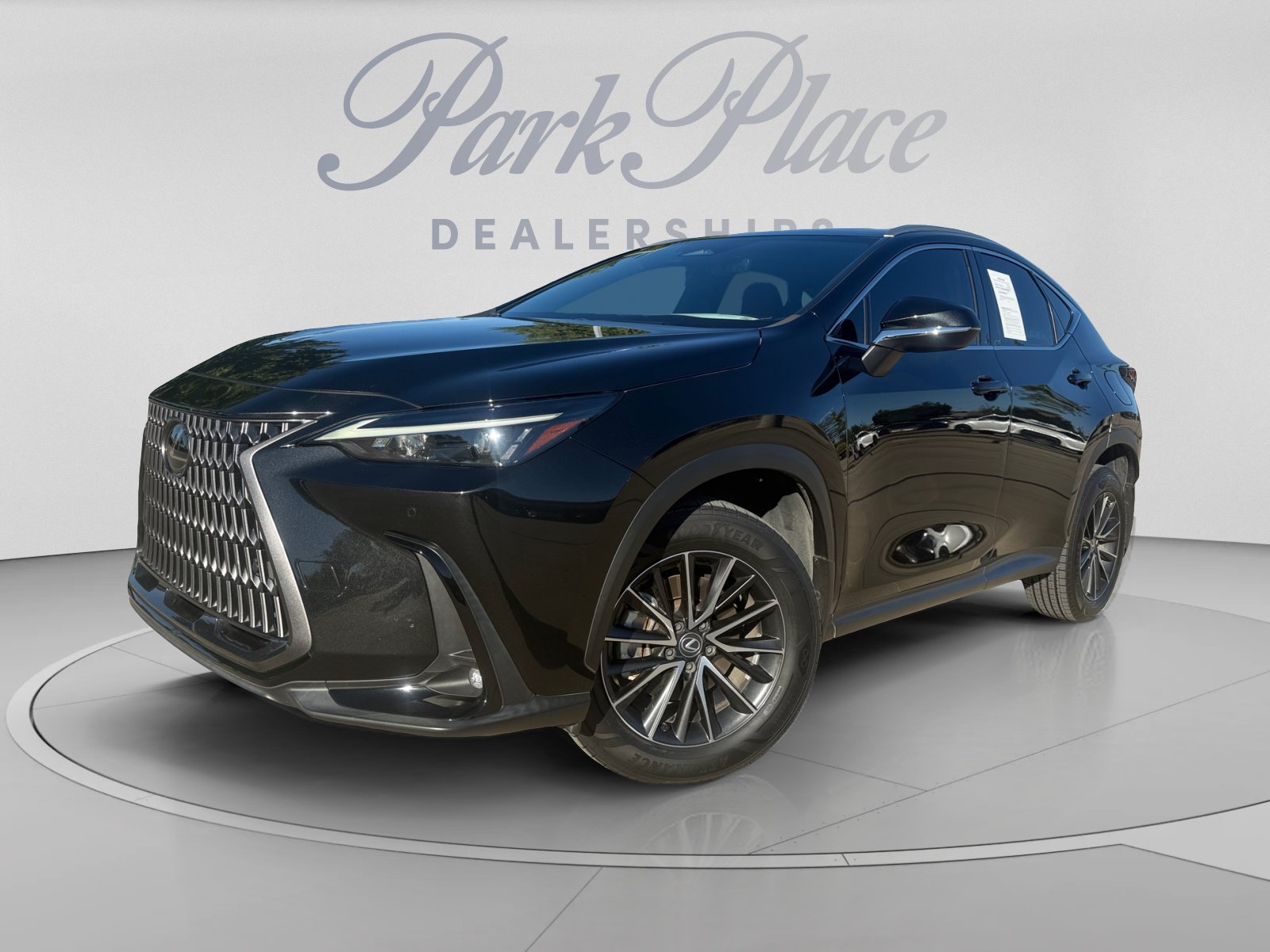 2024 Lexus NX