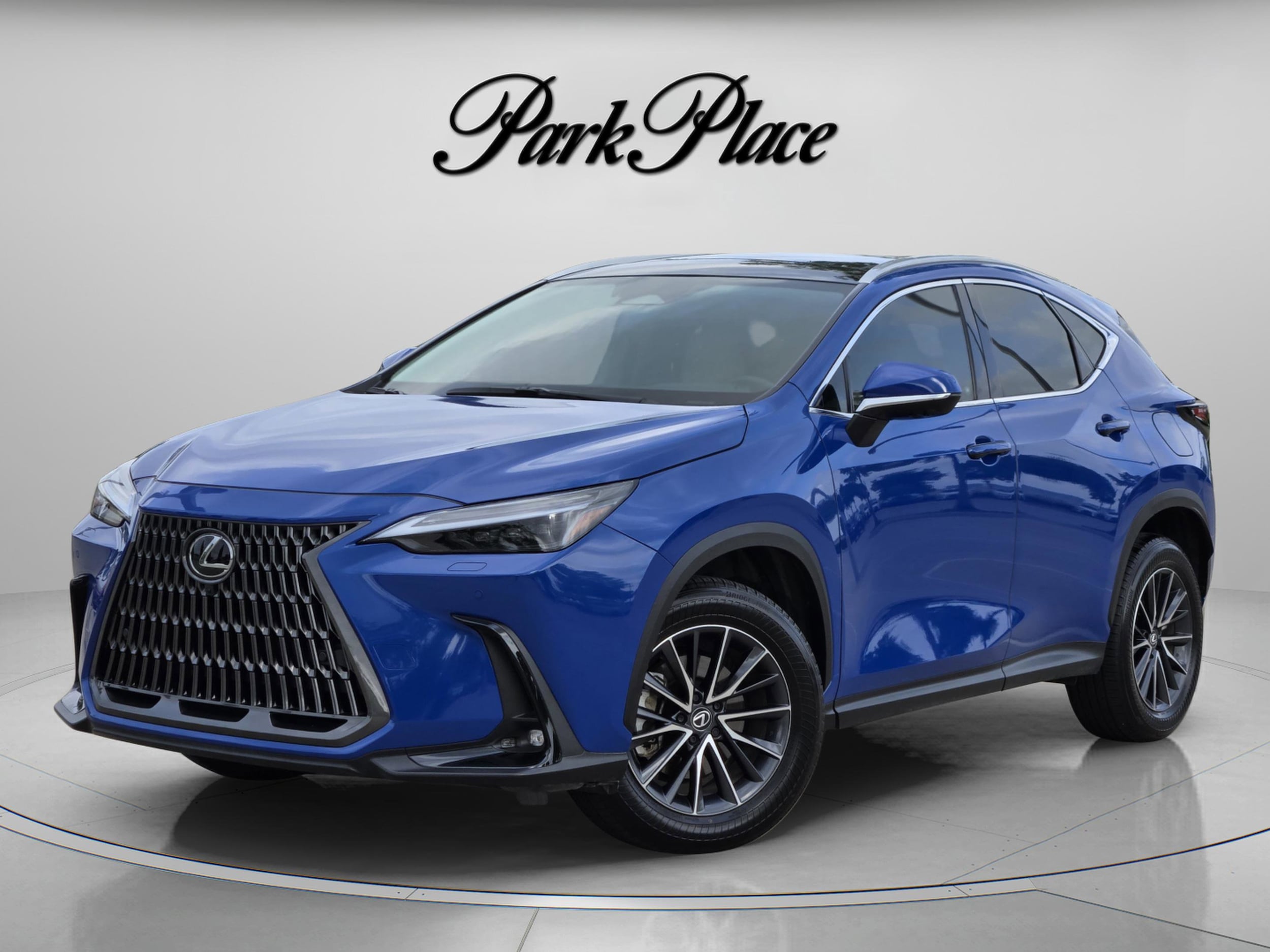 2025 Lexus NX 350 350 Luxury AWD's photo