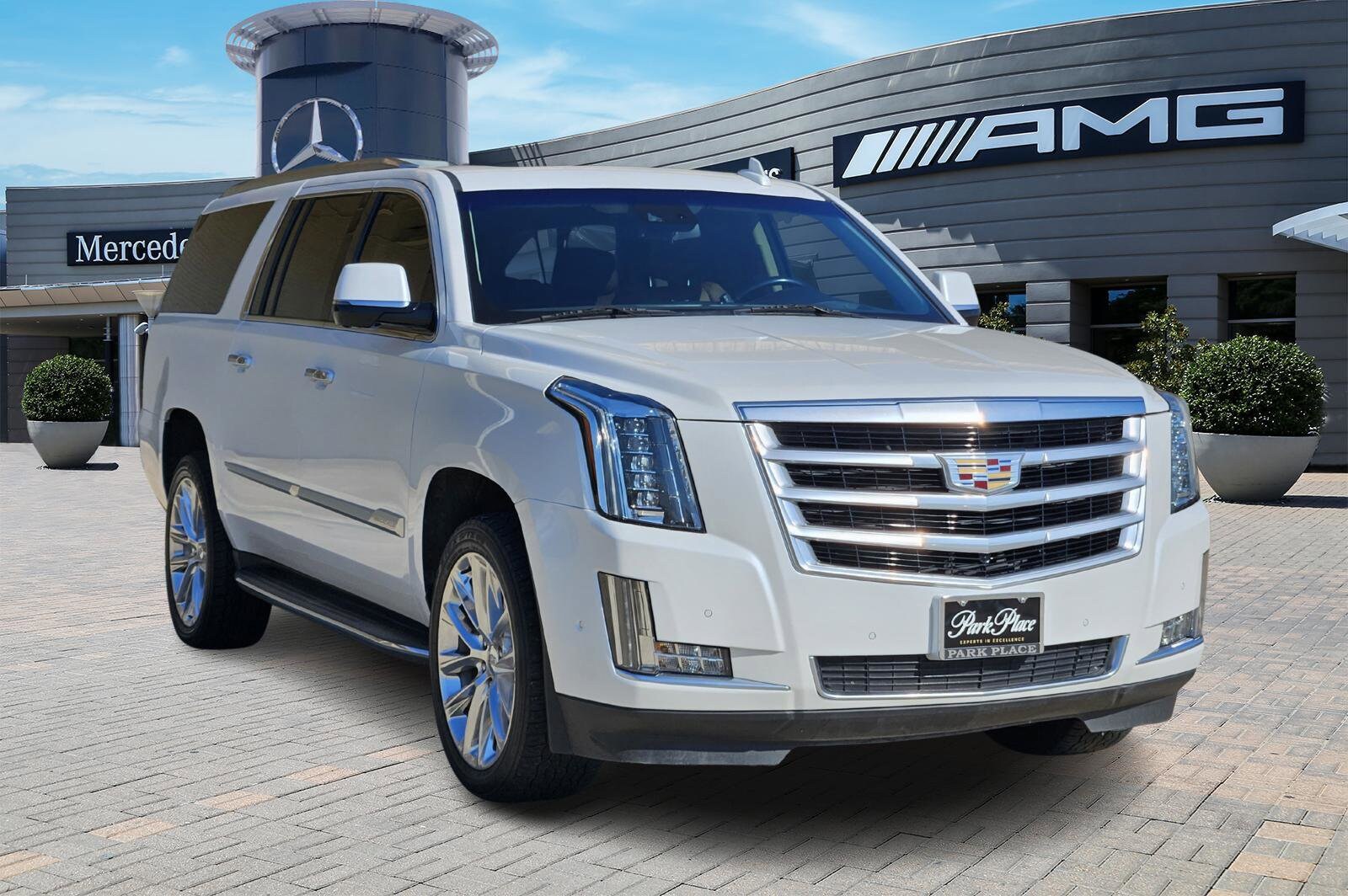 2019 Cadillac Escalade ESV Luxury photo 2