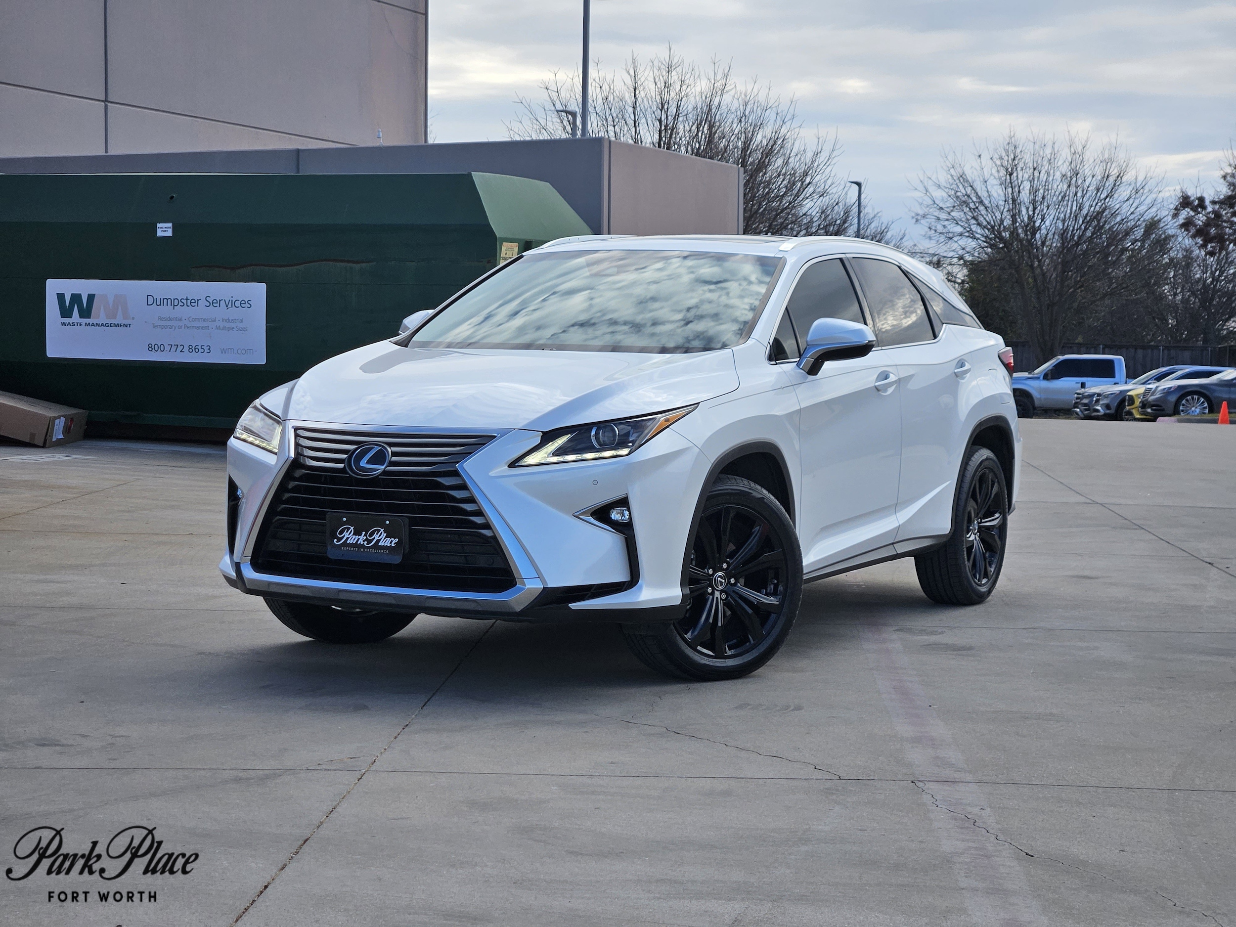 2018 Lexus RX Base's photo