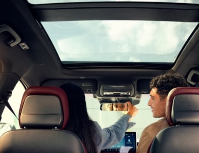 FRAMELESS REARVIEW MIRROR