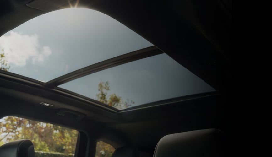 Panoramic Vista Roof