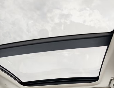 PANORAMIC VISTA ROOF<sup>®</sup>