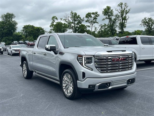 2022 Gmc Sierra 1500 Denali photo 3