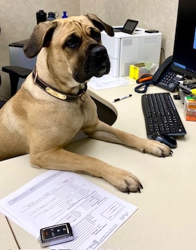 Staff member Cedar Lambert from d2126ecd240a