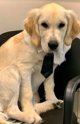 Staff member Ripley Ellsworth from d2126ecd240a