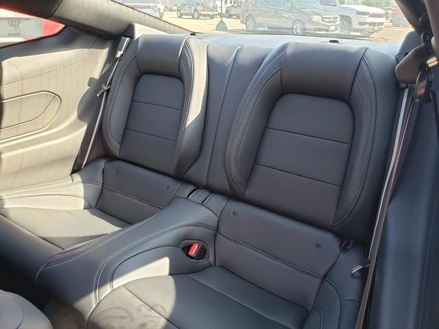 2025 Ford Mustang EcoBoost Premium Fastback - Photo 12