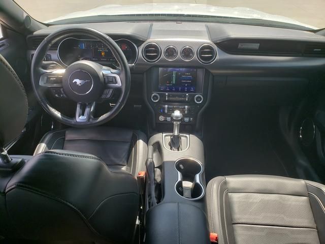View 15