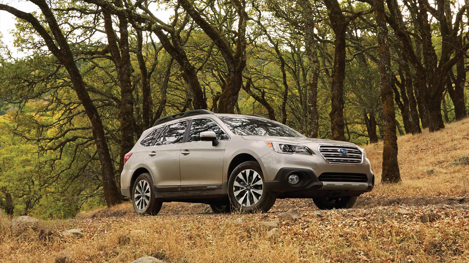 Used Subaru Outback for sale in Wilmington NC