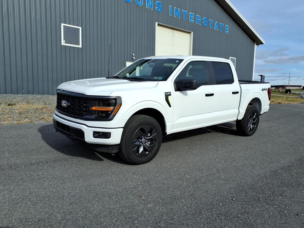 2025 Ford F-150 STX's photo