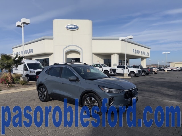 2023 Ford Escape Platinum's photo