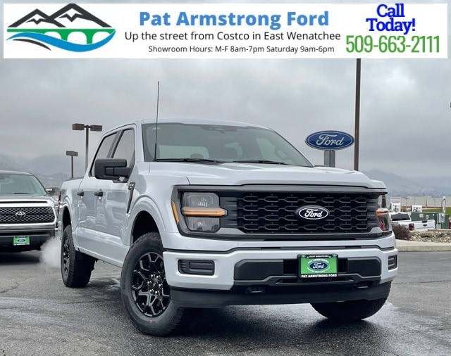 2025 Ford F-150 STX's photo