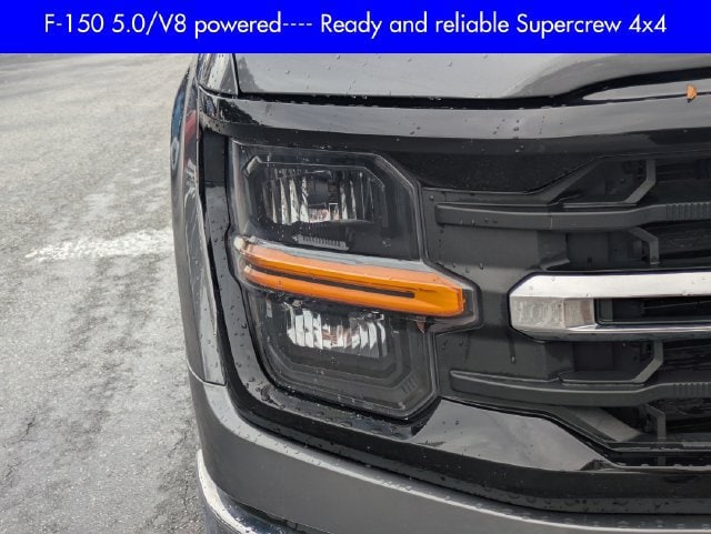 2025 Ford F-150 XLT - Photo 10