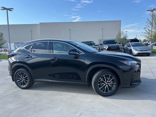 2024 Lexus NX 350h photo 2