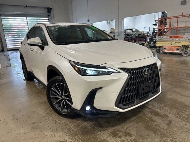 2025 Lexus NX 350h's photo