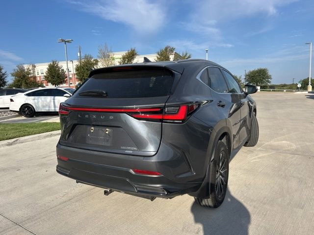 2024 Lexus NX 350h photo 3
