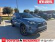 Used 2023 Toyota RAV4 Hybrid Woodland Edition SUV