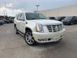 Used 2010 CADILLAC Escalade Luxury SUV