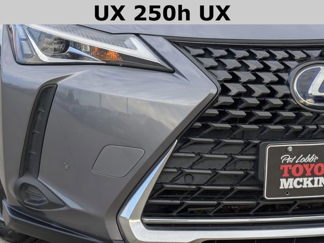 2020 Lexus UX 250h photo 2