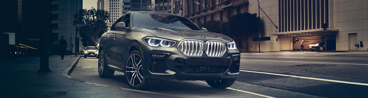 2020 BMW X6 Exterior
