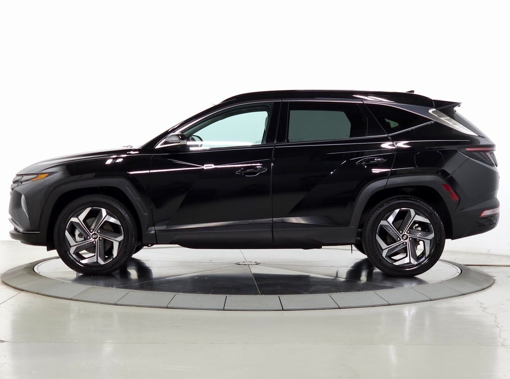 2024 Hyundai Tucson Limited 6